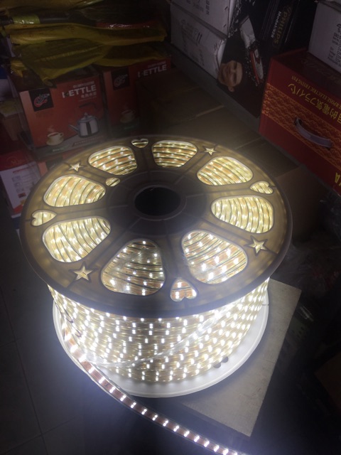 Dây Led Cuộn  100M 2835