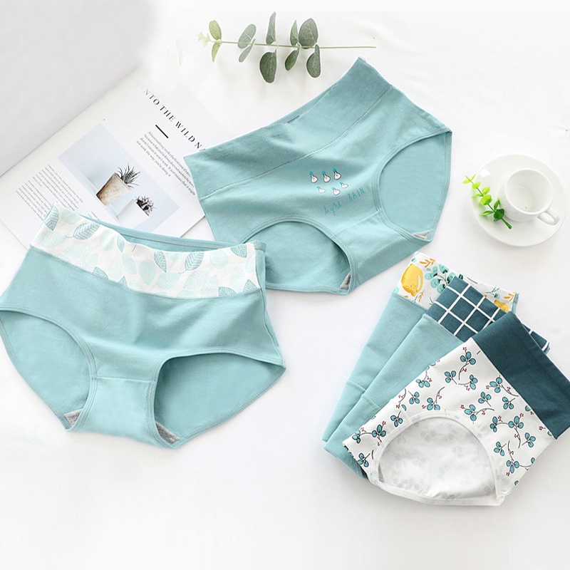 Set 3 Quần Lót Cotton Nữ FallSweet Lưng Cao In Hình Đáng Yêu Mặc Thoải Mái