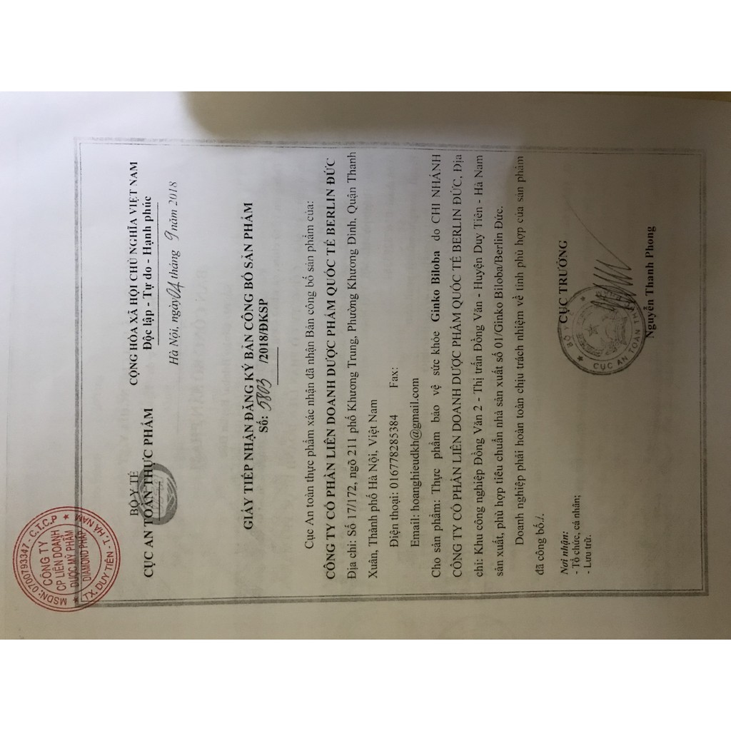 Ginkgo Biloba hỗ trợ hoạt huyết dưỡng não, giúp tăng lưu thông máu não, giảm nguy cơ rối loạn tiền đình, tai biến não