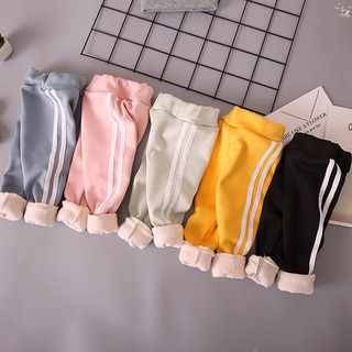 Quần jogger hoàng kim huệ
