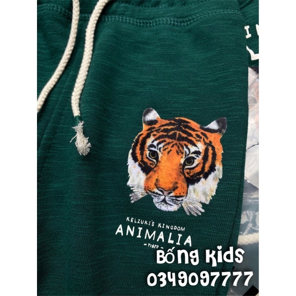 Bộ Nỉ Bé Trai Animal Xanh Lá Đậm HaM(bán lẻ áo lẻ quần)