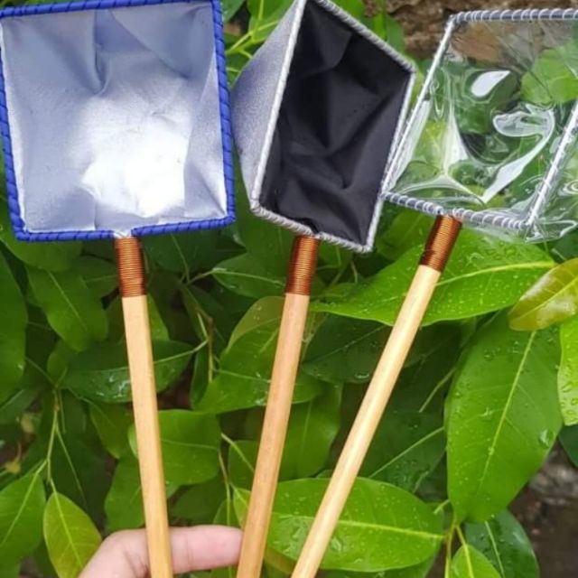 Vợt show cá