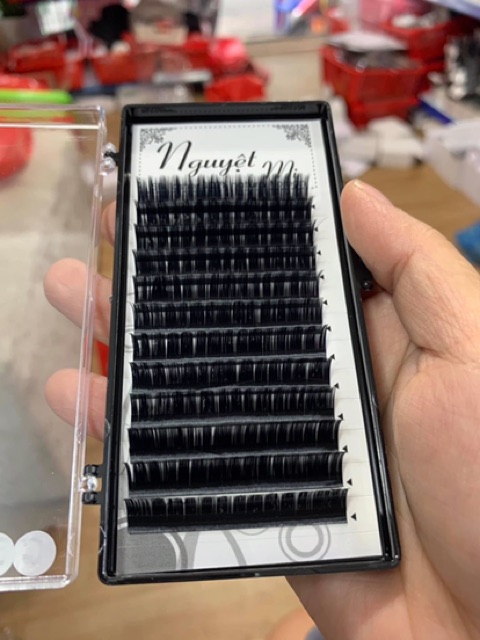 Mi hoa hồng đen,mi sole