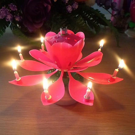 [SIÊU RẺ] Nến sinh nhật nở hoa, phát nhạc - Nến Sinh Nhật 3D lOẠI 1