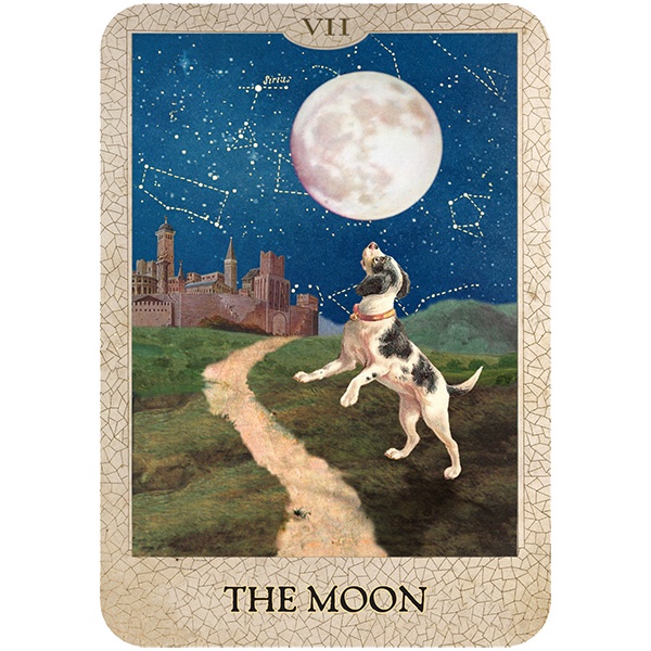 Bộ Bài Original Dog Tarot (Mystic House Tarot Shop) - Bài Gốc Authentic Chính Hãng 100%