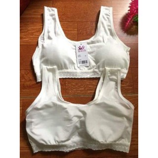 Combo 6 áo lót học sinh cho các bé mới lớn