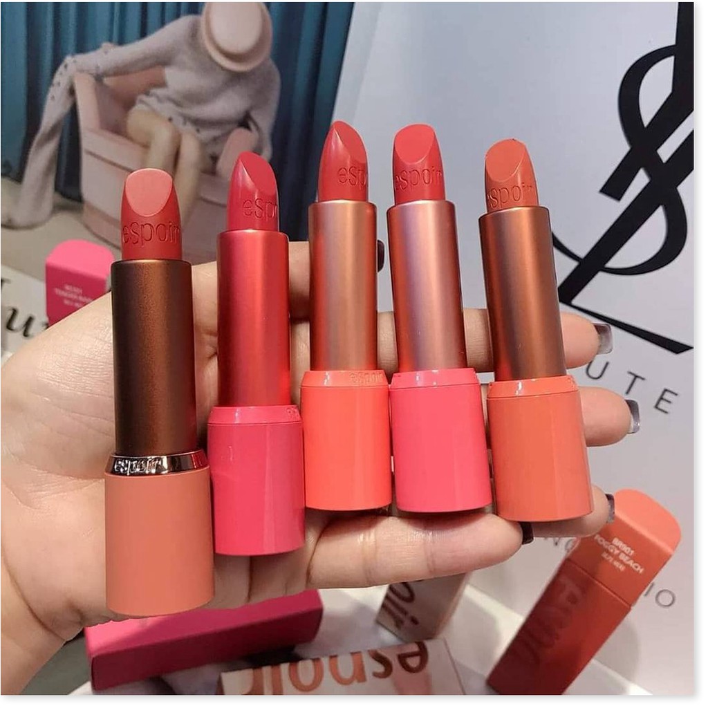 [Mã chiết khấu giảm giá mỹ phẩm sỉ chính hãng] Son Thỏi Lì Espoir No Wear Moist Hug Lipstick Power