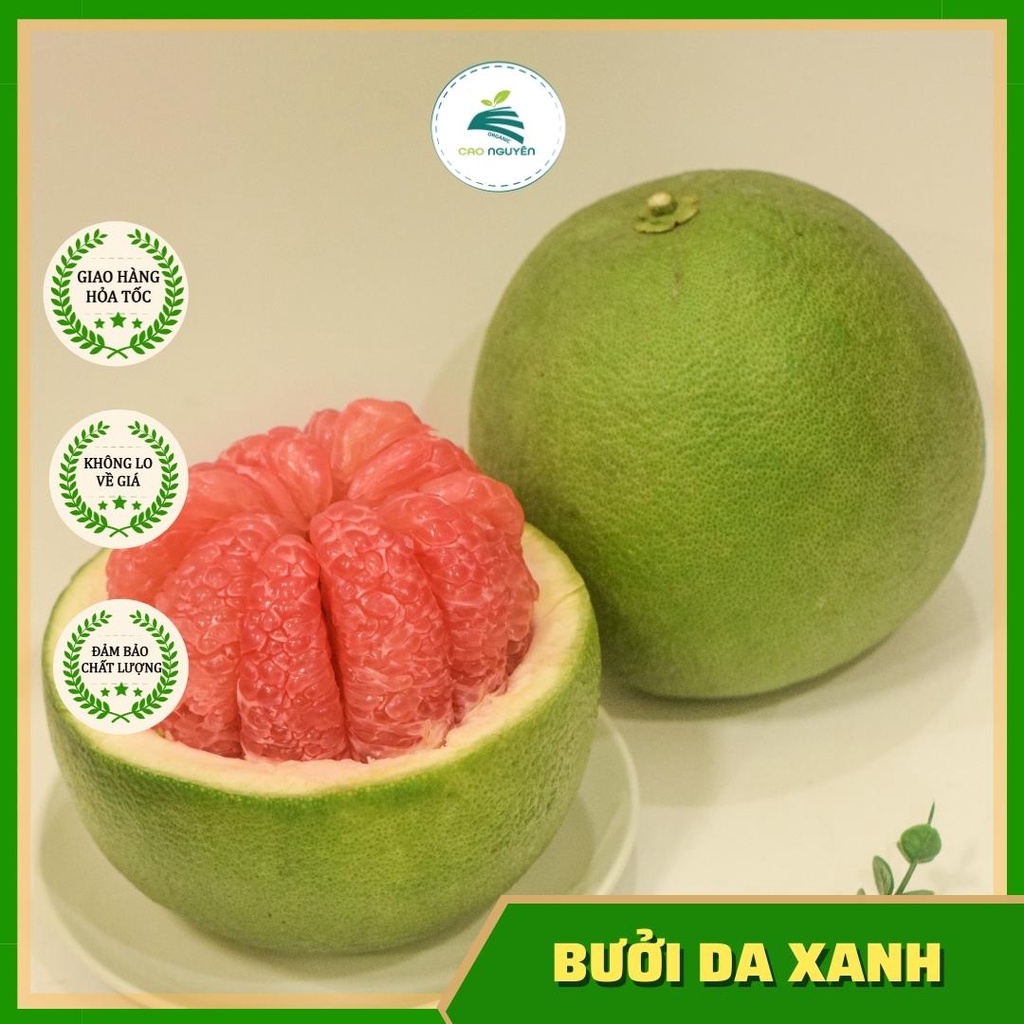 [TRÁI CÂY] Bưởi da xanh ruột đỏ nhà trồng - Bến Tre (1 trái 1-1,3kg)