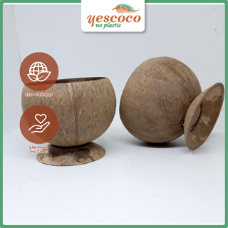 Cốc Gáo dừa Ăn Chè, Sinh tố, Kem, trái cây