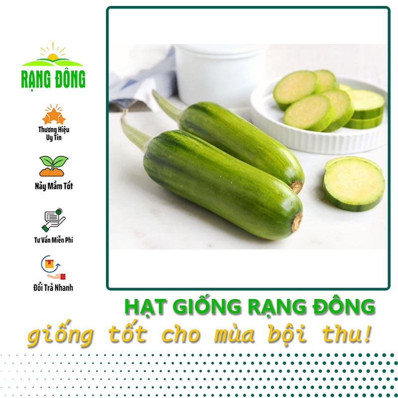 Hạt giống Bí Vua Hàn Quốc giàu dinh dưỡng, nảy mầm tốt (gói 5 hạt) - Hạt giống Rạng Đông