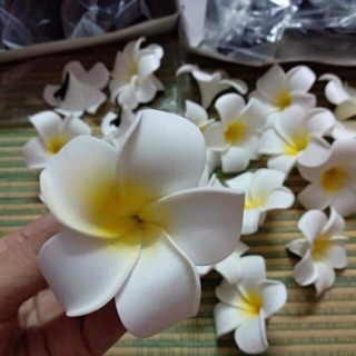 Combo Kẹp hoa sứ cài tóc