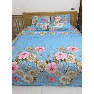 Bộ chăn ga gối cotton poly