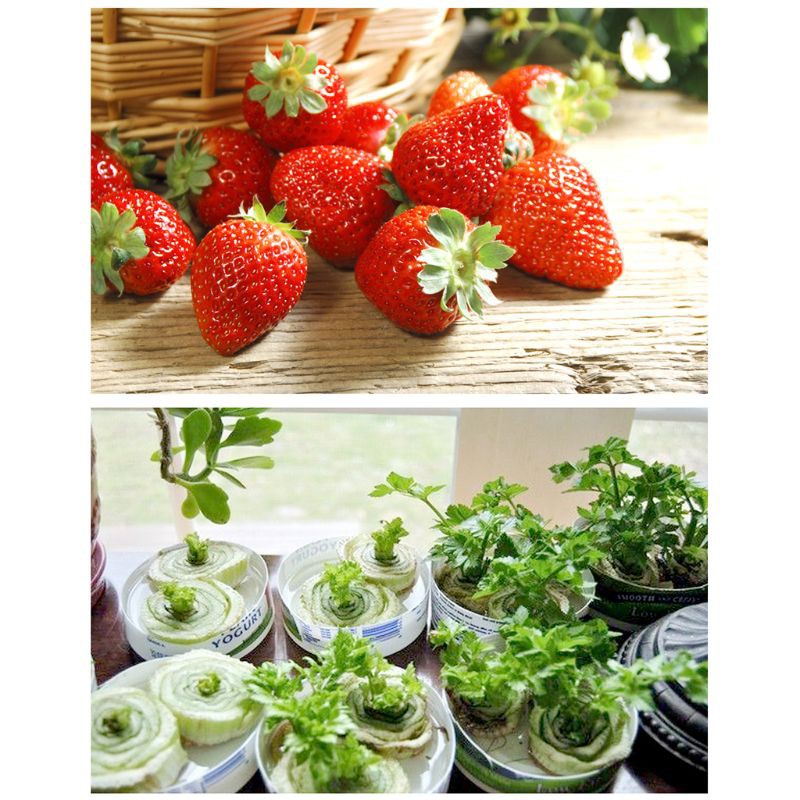 Đèn Led Kích Thích Tăng Trưởng Cho Cây Trồng Ac 220v 50w