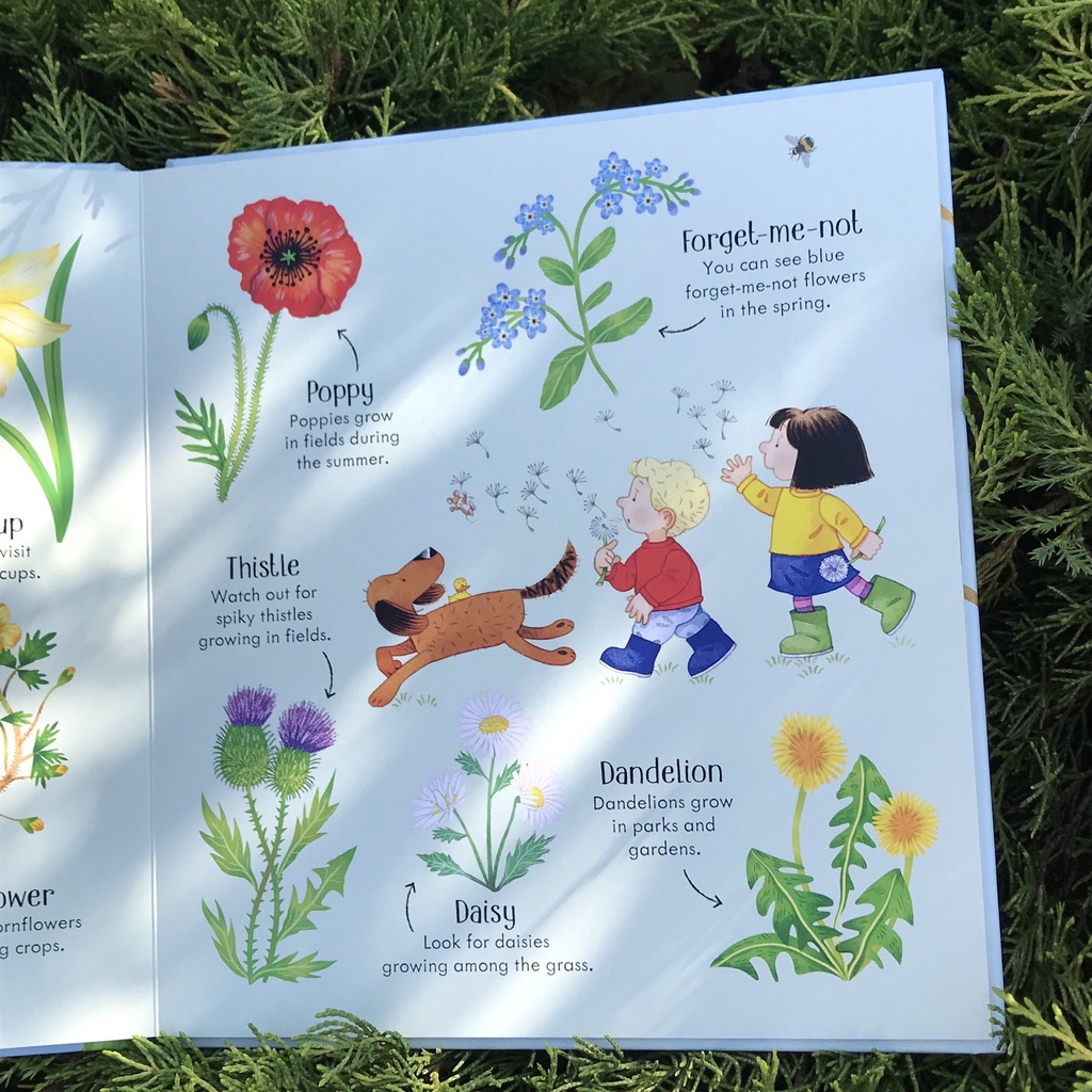 Sách Usborne - Poppy and Sam's Nature Spotting Book - học tiếng anh qua thiên nhiên