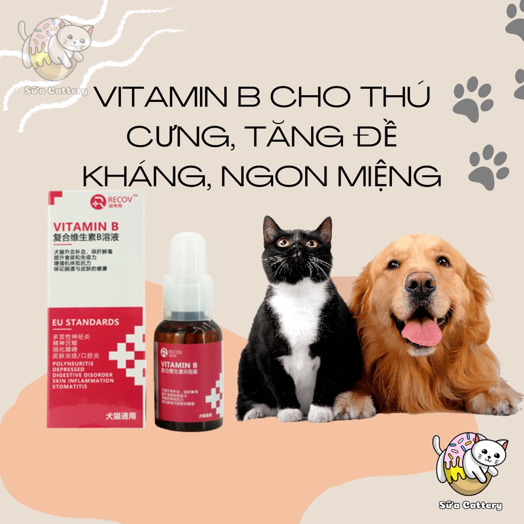Vitamin B cho chó mèo và thú cưng nhỏ, tăng đề kháng, bổ và giải độc gan, chống lại viruss, nấm