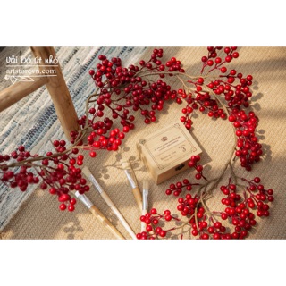 Dây 2 mét trái đỏ cherry (đào đông)