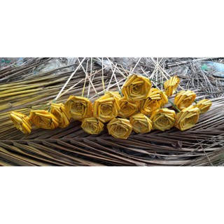 Hoa lá dừa khô không màu