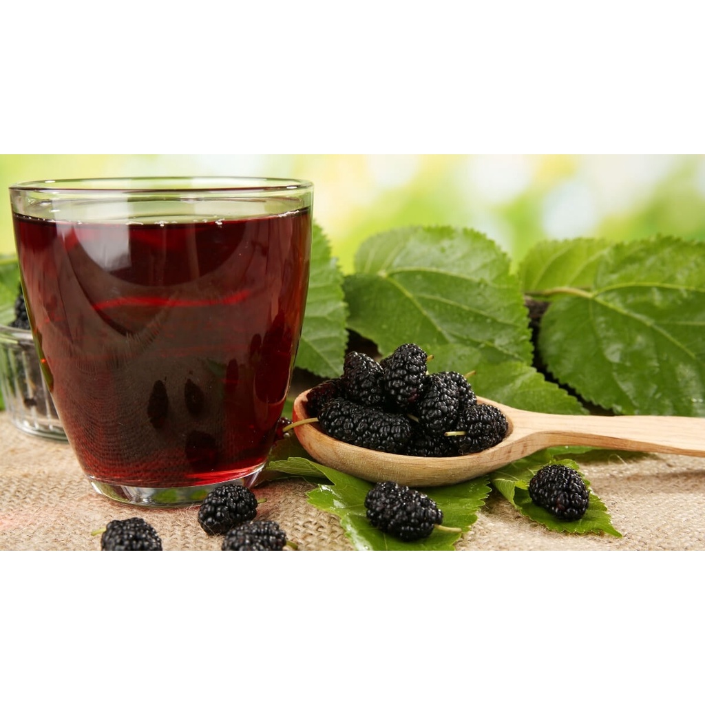 Nước Cốt Dâu Tằm Berryland 500ml- dùng trong pha chế, đồ uống, nguyên vị dâu tằm-Nguyên Liệu Trà Sữa CRICKET