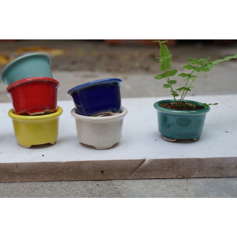 Chậu siêu mini men tàu