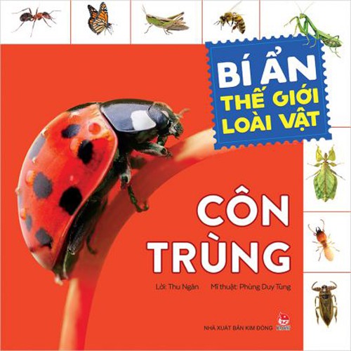 Sách - Bí ẩn thế giới loài vật: Côn trùng - Nxb Kim Đồng