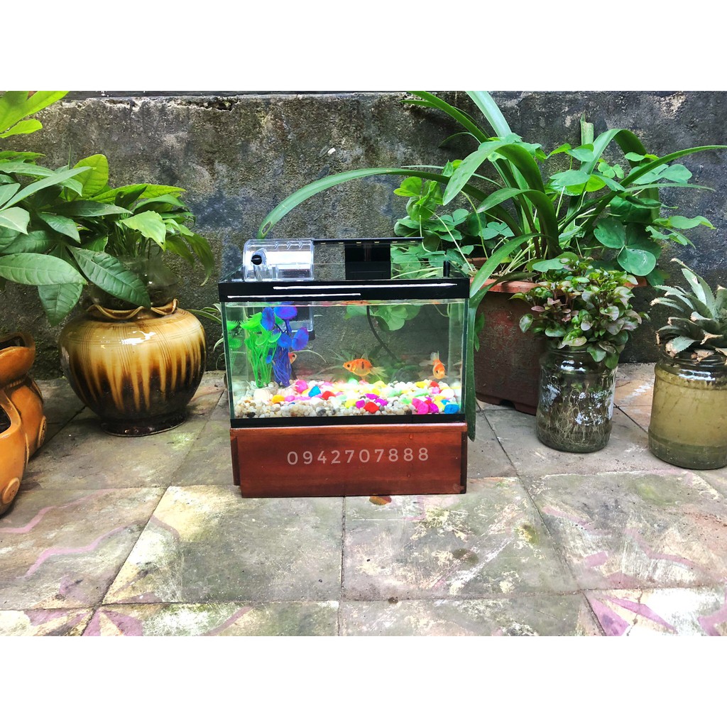 🐬 Full set bể cá mini viền đen 25cm kèm đèn và lọc