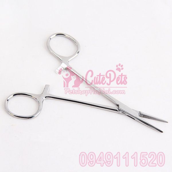 Kéo nhổ lông tai cho chó mèo, Kẹp nhổ lông - Phụ kiện thú cưng Hà Nội