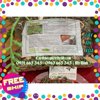 Cây An Xoa Bình Phước 1Kg - Loại 1 Hàng Công Ty Uy Tín