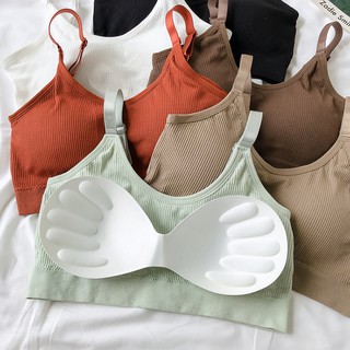 Áo ngực bra cotton có mút ngực phong cách Hàn Quốc AC05