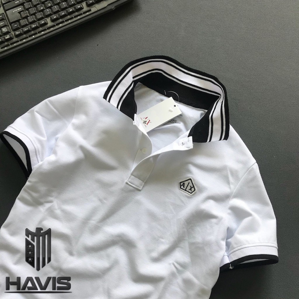 Áo thun nam Havis tay ngắn phối logo thêu lịch lãm ASTD080 ( Nhiều Màu ) | BigBuy360 - bigbuy360.vn