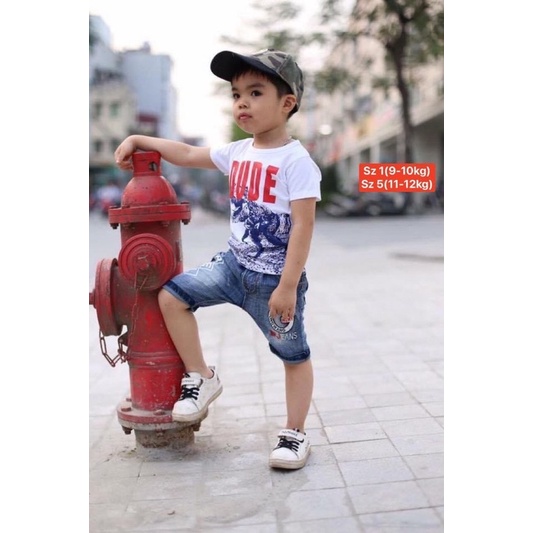 Áo phông cộc tay bé trai 100% cotton mềm mát họa tiết cực xinh - cho bé trai 9-22kg