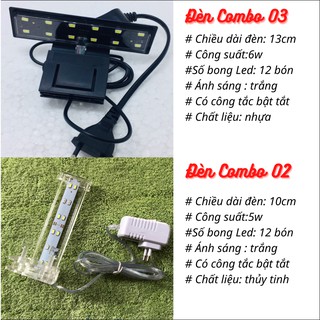 Bể cá mini CUBIC 20cm COMBO( CHỌN MẪU)Tặng 5 món phụ kiện trang trí
