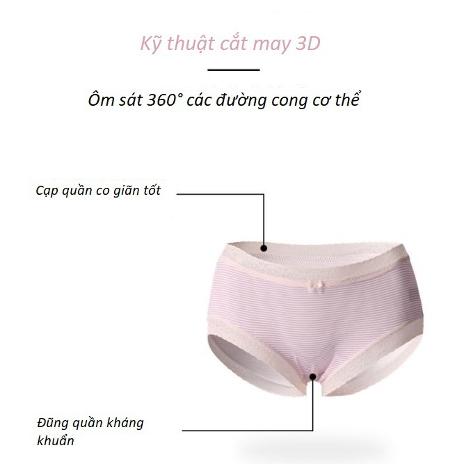 Quần Lót Modal Viền Ren Họa Tiết Phong Cách Nhật Bản P419