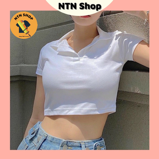 Áo Cổ PoLo ( cổ bẻ ) tay ngắn (ap) thun xịn .