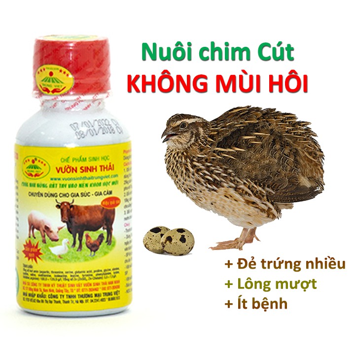 Chế phẩm sinh học VƯỜN SINH THÁI nuôi Chim Cút - Không mùi hôi
