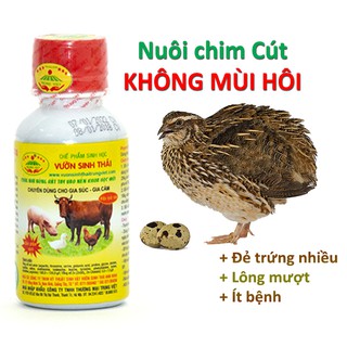 Chế phẩm sinh học VƯỜN SINH THÁI nuôi Chim Cút - Không mùi hôi