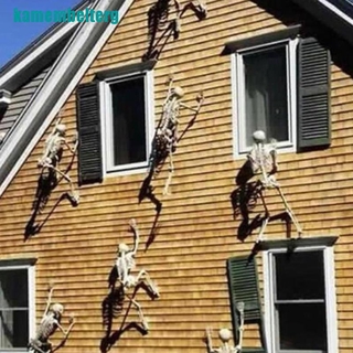 ❉Bộ Xương Người 32 / 90 / 150cm Trang Trí Halloween