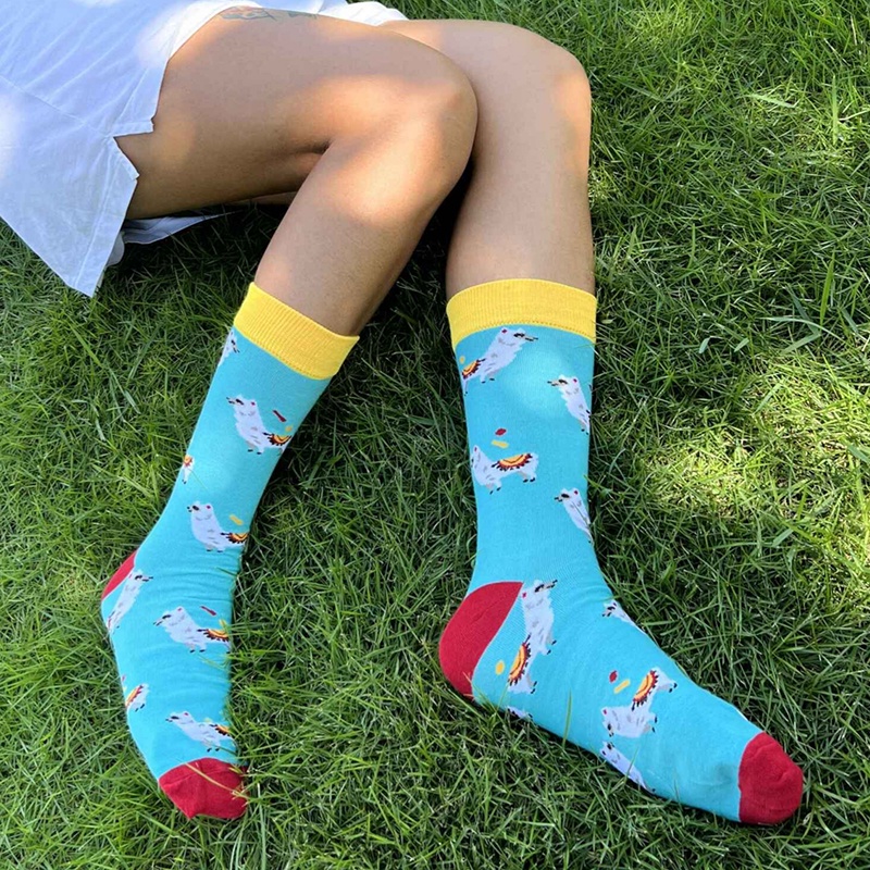 Take Talk Set 2 Đôi Vớ Co Giãn Giữ Ấm Nhiều Màu Sắc Size 37-45 Dành Cho Nữ