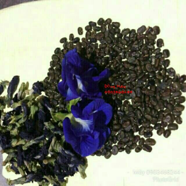 Hạt giống đậu biếc 200 hạt