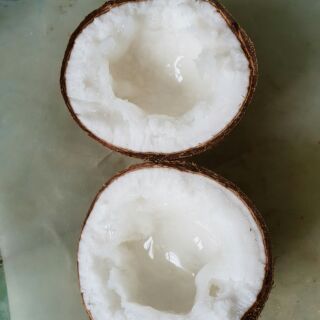 Dừa Sáp Đặc Sản Trà Vinh