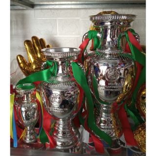 Ảnh thật Cup bóng đá Euro Cup