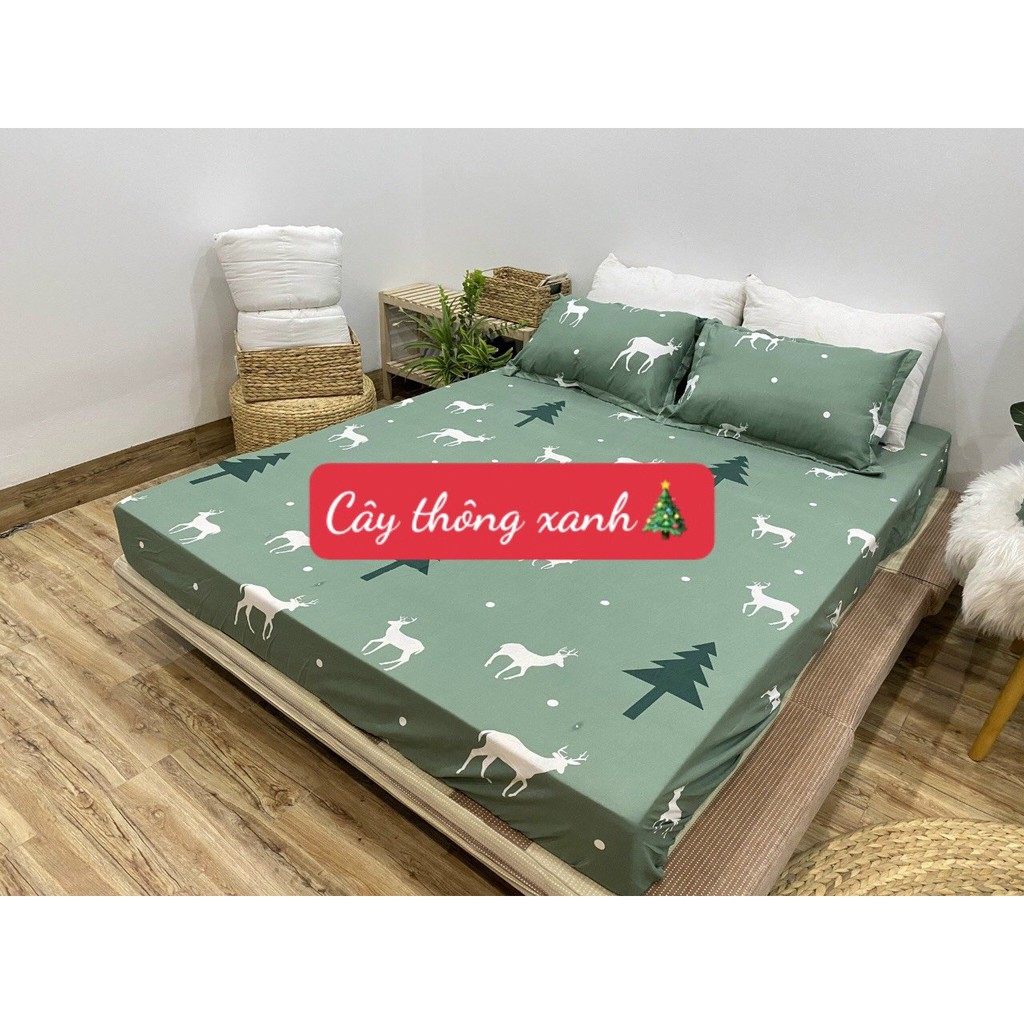 Bộ ga gối Coton Poly, nhiều mẫu mới 1m,1m2,1m4,1m5,1m6,1m8,2m(chát chọn mẫu)