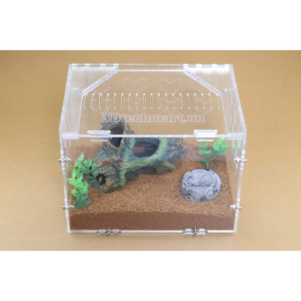 Hộp Nuôi Nhện Cao Cấp 20-15-15 (tank tarantula)