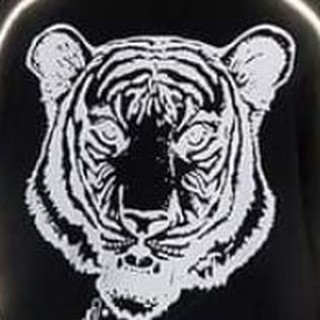 bộ kenzo size đại chất da cá tàu cho bé