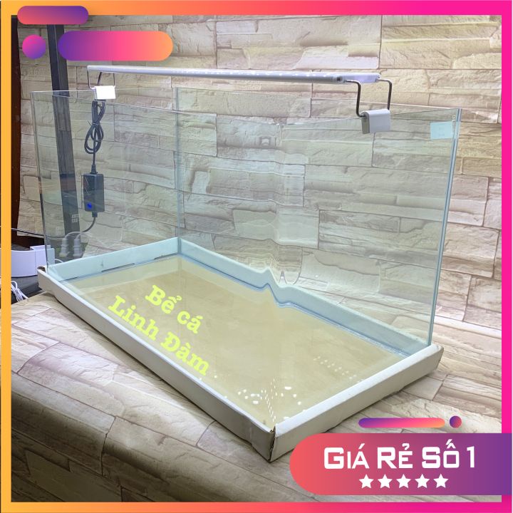 Bể Cá Chữ Nhật 60cm Kính Đúc Bo Góc-Bể Cá Thủy Sinh