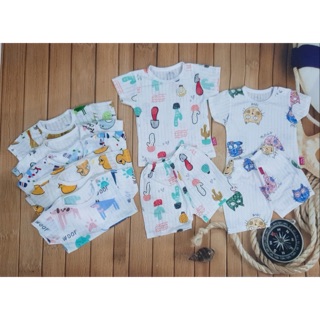 Xả Cotton giấy