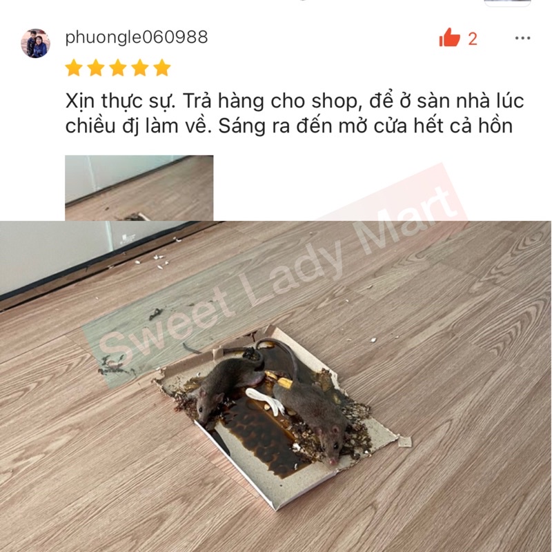 Keo Dính Chuột Siêu Dính Chính Hãng Có Sẵn Mồi