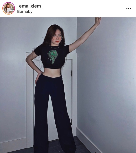 Dragon Croptop | BigBuy360 - bigbuy360.vn