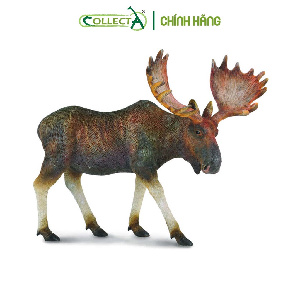 Đồ chơi mô hình động vật CollectA Nai Sừng Tấm - Moose