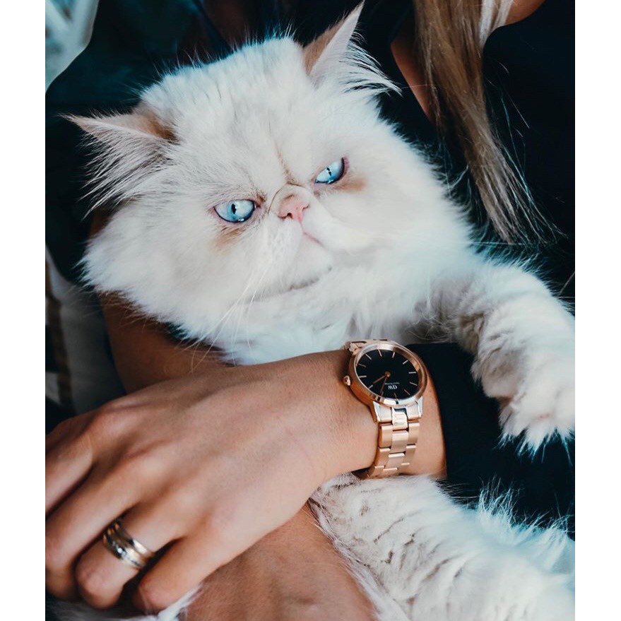 Đồng hồ NAM NỮ D,.W Dây Iconic Dây Vàng hồng - Mặt đen - Đủ Size 28mm 32mm 36mm