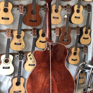 Đàn Guitar Acoustic HD120